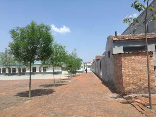 德州健之源專(zhuān)業(yè)承接袋泡茶oem加工,袋泡茶加工,袋泡茶代加工袋泡茶oem加工,袋泡茶加工,袋泡茶代加工...等等為您提供一站式全方位的服務(wù)，從原料、配方、包裝等一切由雙方協(xié)商解決。現(xiàn)面向全國(guó)承接各類(lèi)袋泡茶保健茶批發(fā)制作來(lái)料加工、包工包料。