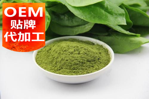 山東粉劑代加工廠(chǎng)家-代餐粉代加工-德州健之源